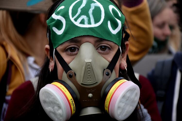 (Nicol&aacute;s Stulberg)