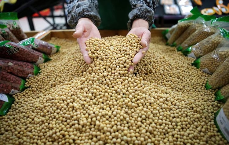 Las exportaciones a China representan hoy el 11% de las ventas externas totales de Argentina (REUTERS/Corresponsal)