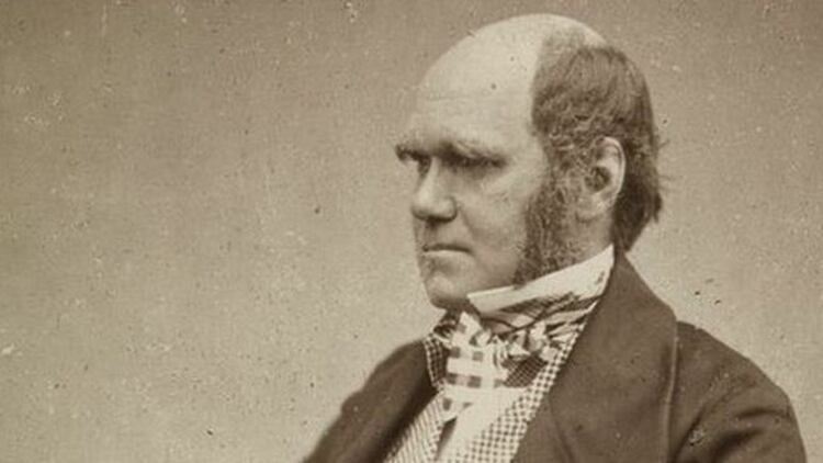 Charles Darwin (Cambrdige University)
