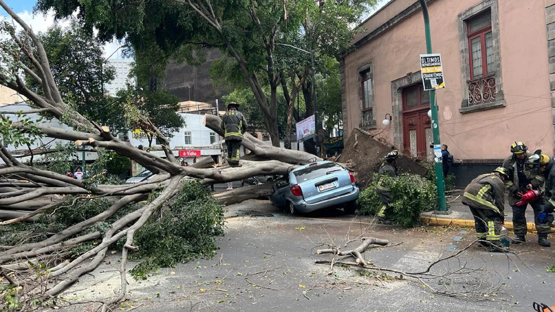 Árbol de 25 metros de altura cae y aplasta automóvil en la colonia Juárez de CDMX