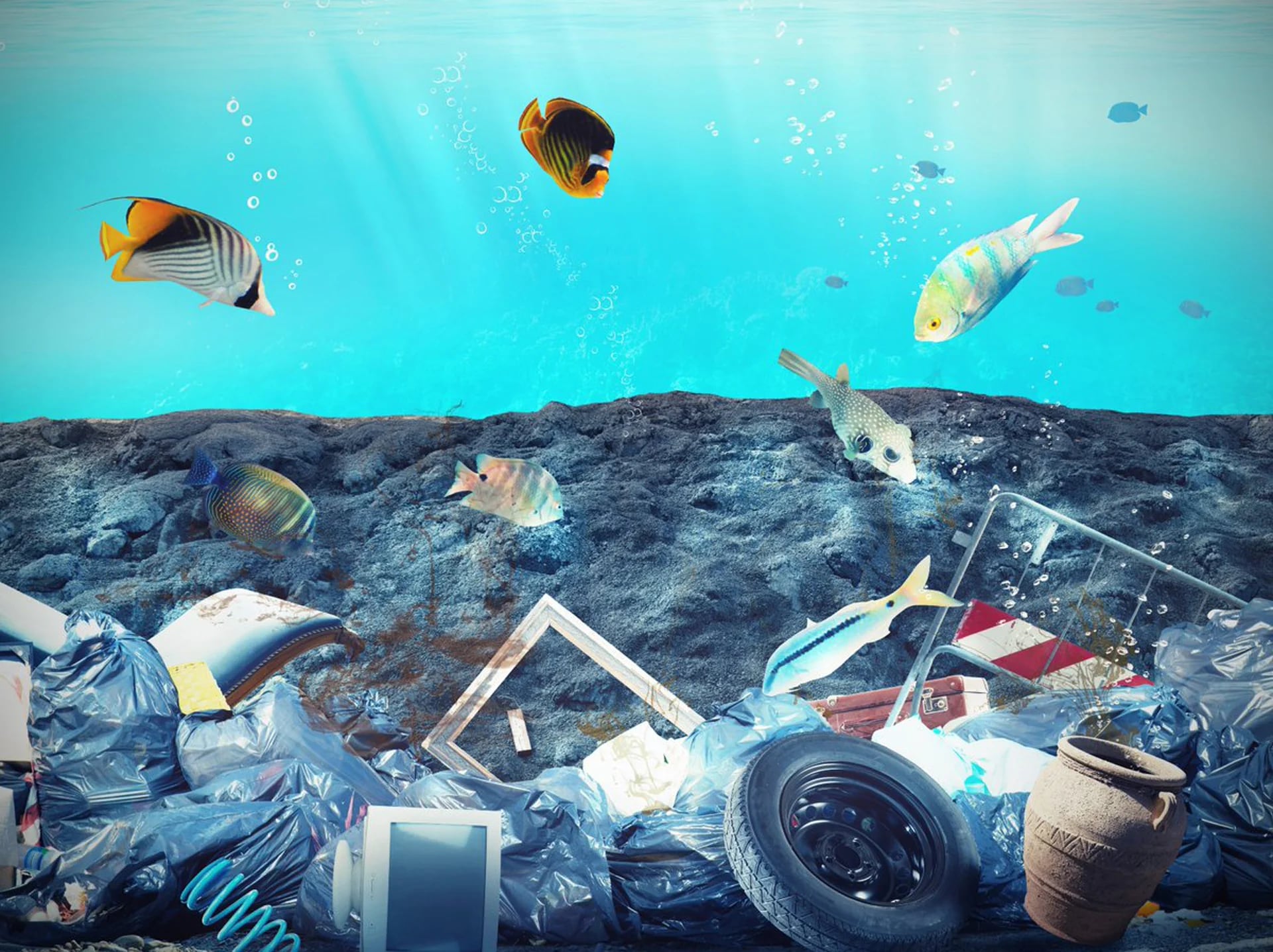 La contaminación plástica pone en peligro a 267 especies marinas