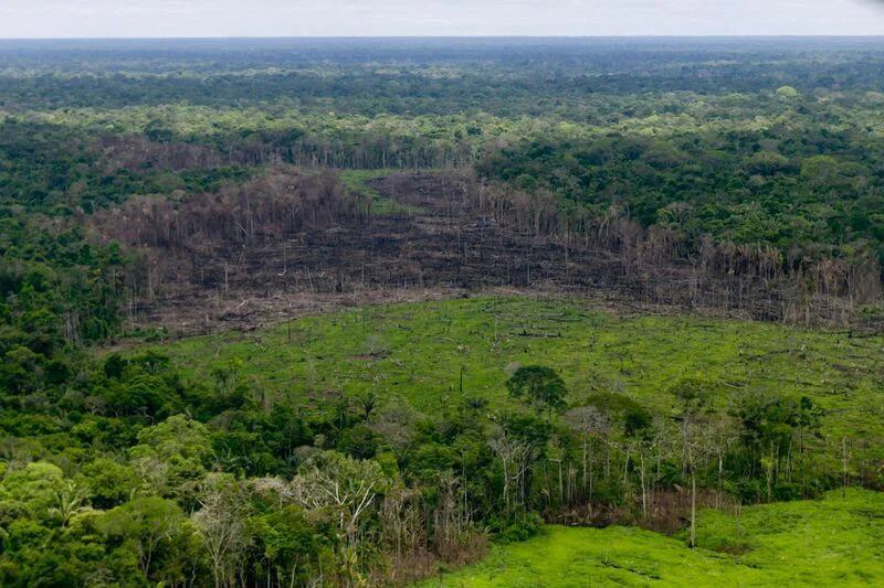 Una zona boscosa con deforestación se ve en la Serranía del Chiribiquete, Colombia - crédito Presidencia de Colombia/vía REUTERS