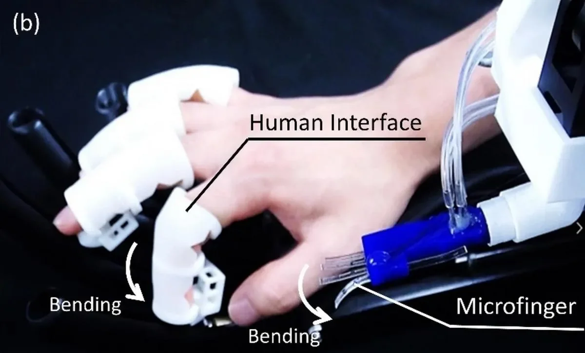 Así funcionan estos dedos robóticos que permiten interactuar con insectos