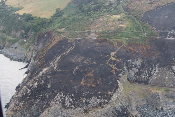 El incendio forestal en Bray Head demandó más de 150 mil litros de agua para apagarse.