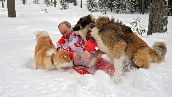 El paseo de putin y sus perros por la nieve