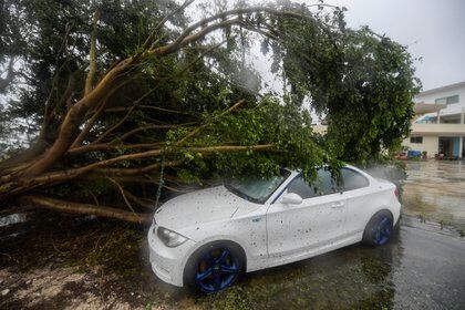 Imágenes de los daños de Delta en Cancún (Foto: Pedro Pardo / AFP)