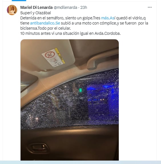 Mariel Di Lenarda sufrió un violento intento de robo en la calle (Twitter)