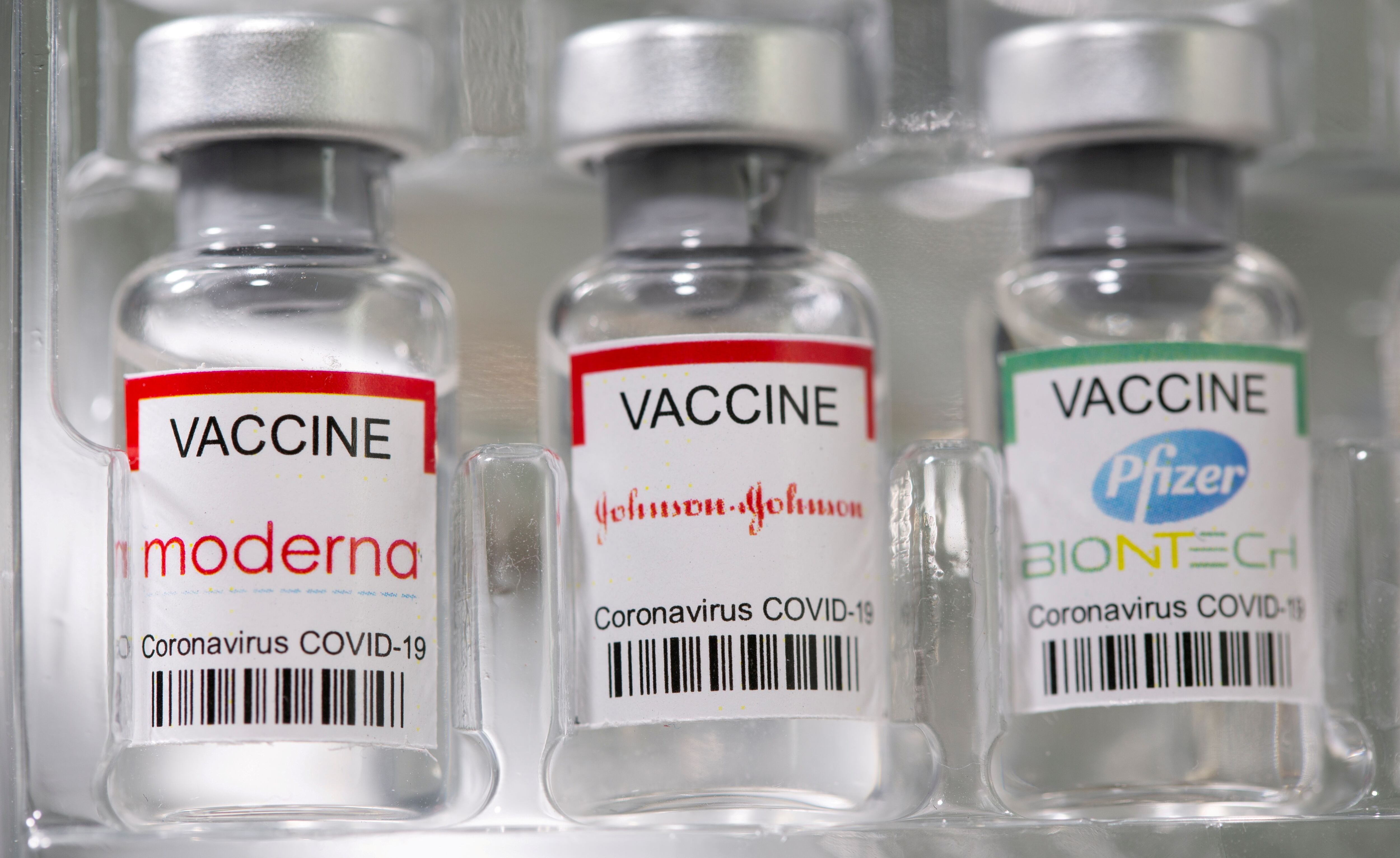 Un estudio señaló que las vacunas de Pfizer y Moderna podrían generar una inmunidad de largo plazo (Reuters) 