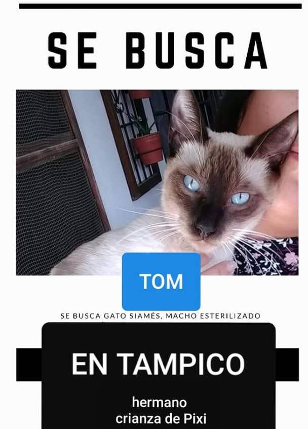 (Foto: Facebook)
