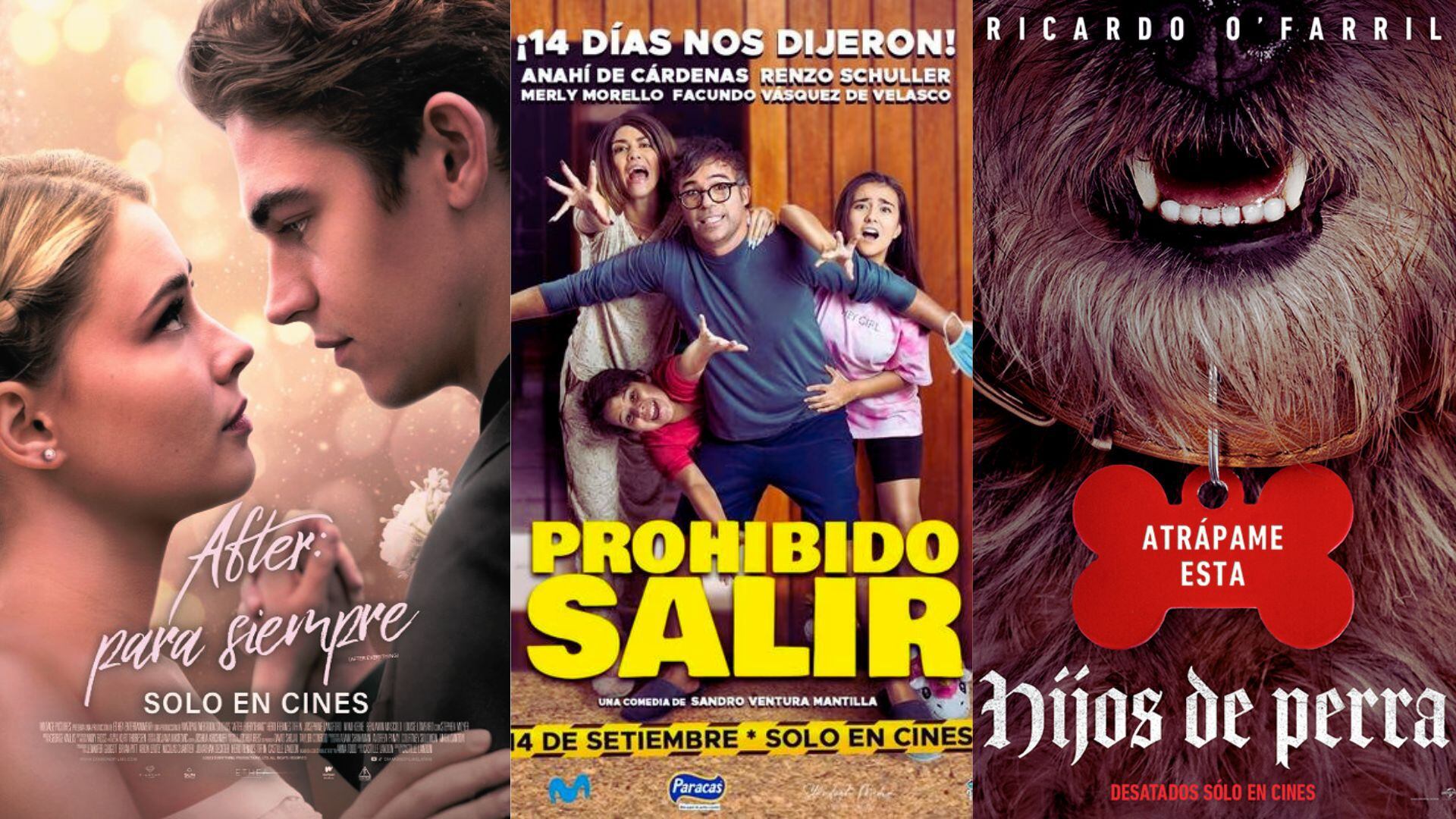 Movie Billboard: What movies are premiering this Thursday, September 14 |  Diffusion