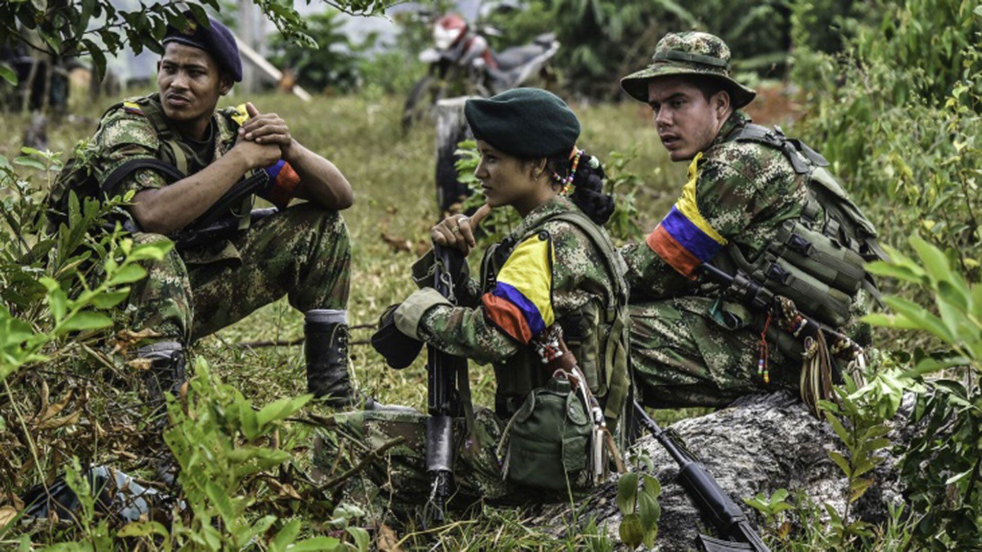 Las FARC llegaron a ocupar parte importante del territorio del país
