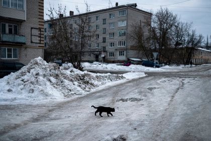 Se considera que si a uno se le cruza un gato negro en el camino será un augurio de mala suerte (Photo by Dimitar DILKOFF / AFP)