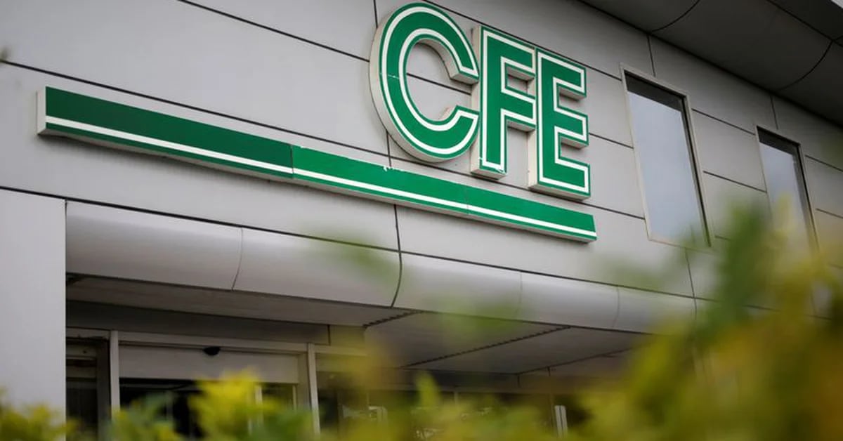 CFE online contract: what are the conditions and the cost
