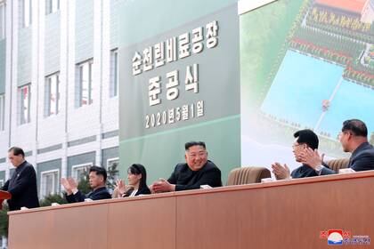 Kim aplaude junto a sus altos funcionarios, celebrando la apertura de la planta de fertilizantes (Reuters/KCNA)