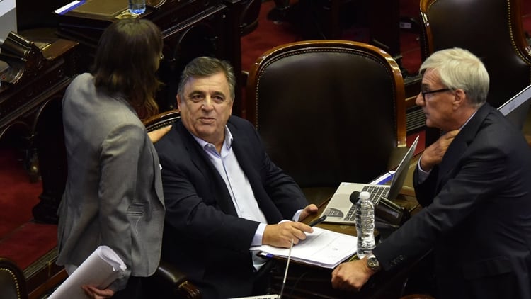 Mario Negri en la sesión de esta tarde (Franco Fafasuli)