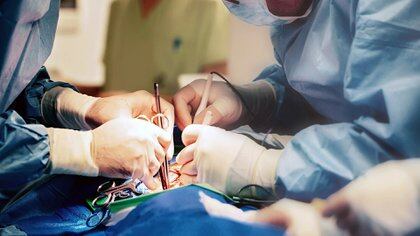 La donación de órganos en el país alcanzó por primera vez cifras similares a la UE (Shutterstock)