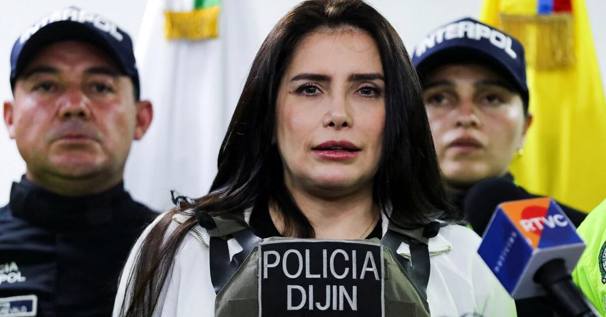 Aida Merlano assured that she decided to return to Colombia because she already had enough evidence to defend herself.