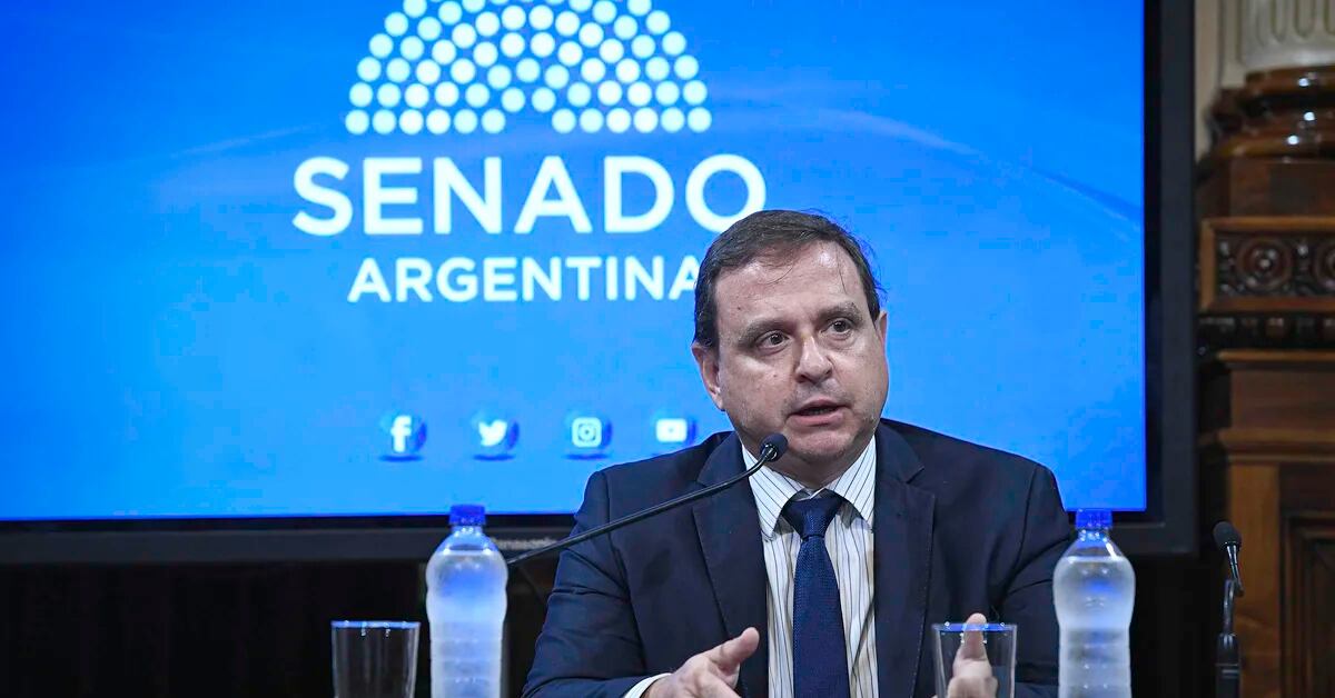 The letter to Cristina Kirchner from one of the senators who broke the Frente de Todos bloc: “The government has moved away from the priorities that our people demand”