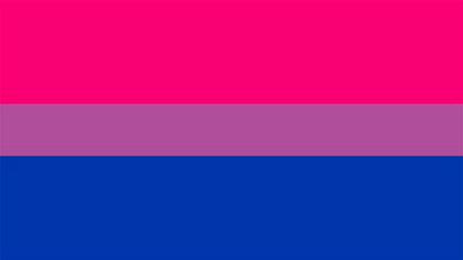 En la bandera, el rosa representa la homosexualidad, el azul representa la heterosexualidad y el violeta representa la atracción para ambos sexos (Foto: Twitter @ vergaloca)
