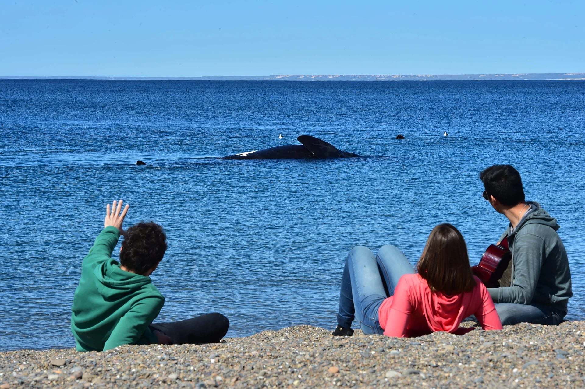 El avistaje de ballenas en Puerto Madryn tiene su punto más convocante durante el invierno (AW)