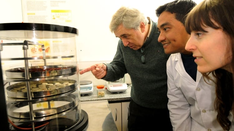 La Universidad Nacional de La Plata desarrollará una fábrica para ampliar la producción de alimentos deshidratados