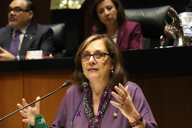 Martha Lucía Mícher Morena Senado