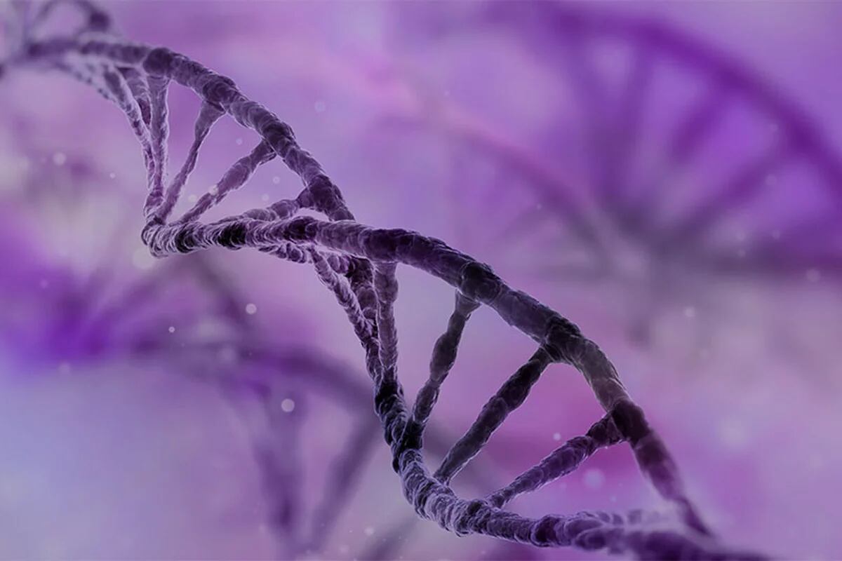 Cuáles Son Las Misteriosas Proteínas Del Genoma Humano Que Investigan Expertos De Oxford Y