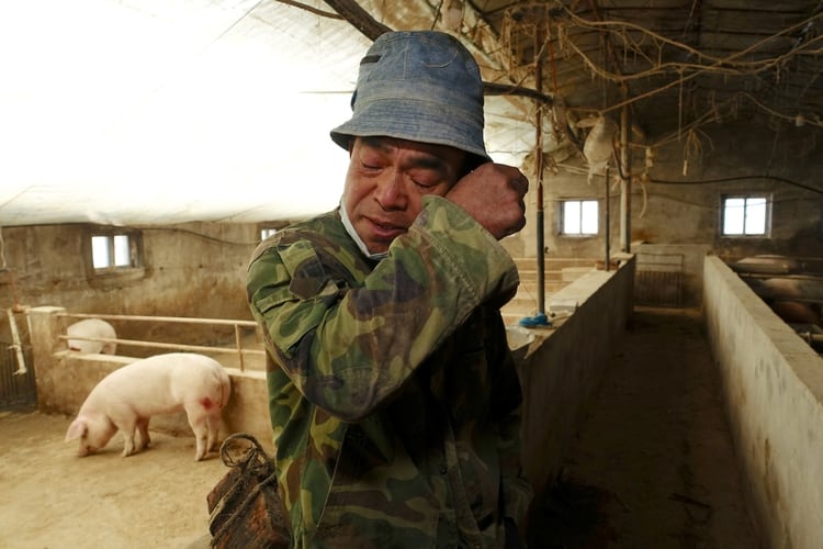 El criador de cerdos Han Yi se limpia las lágrimas mientras habla con Reuters en su granja en una aldea en el condado de Changtu, provincia de Liaoning, China, 17 de enero de 2019 en una imagen de archivo (Reuters)