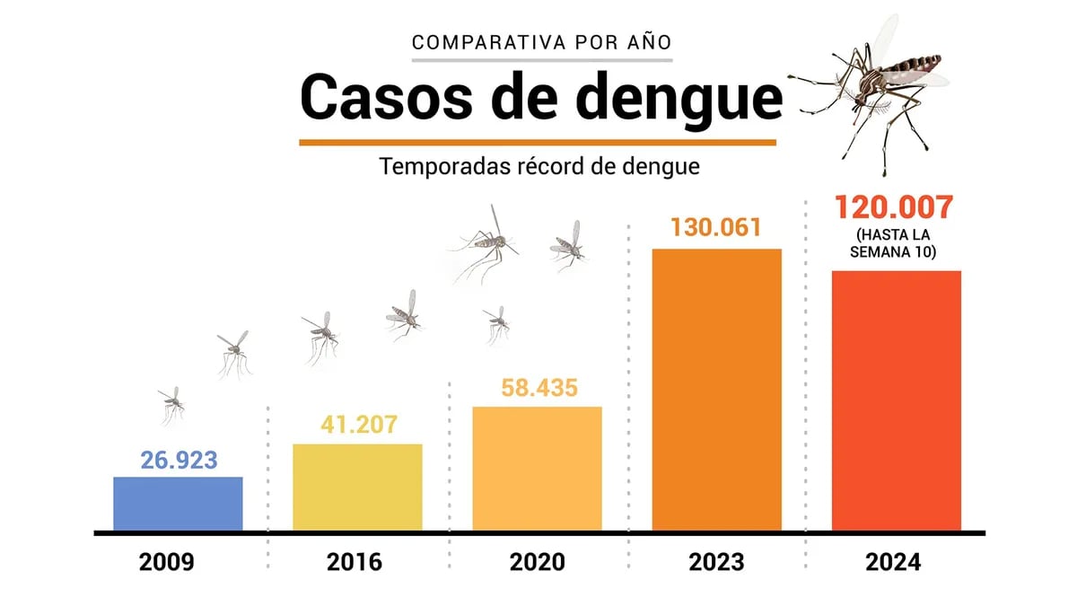 Brote histórico de dengue: cuál fue el crecimiento de los casos de un año al otro