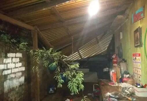 Un árbol cayó en el techo de una casa de la comunidad de la Y Griega (Foto: El Sur)