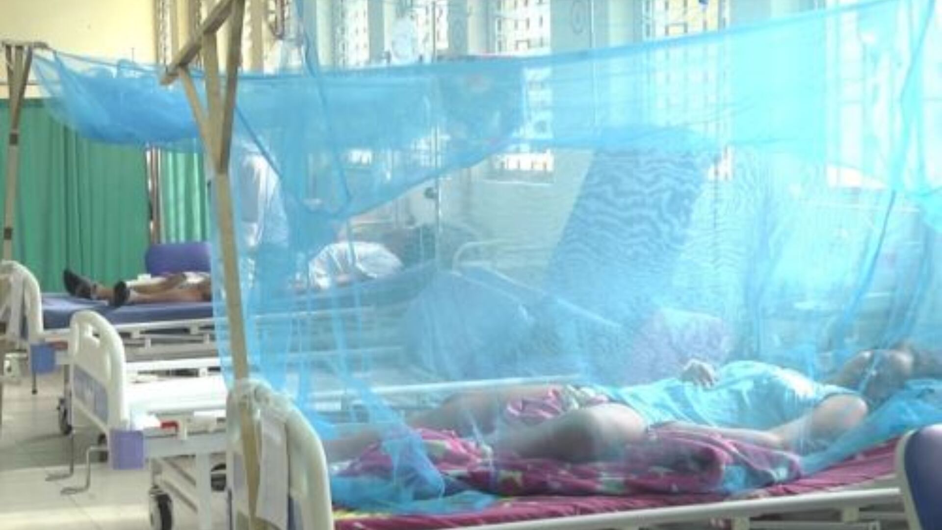 Se reporta la primera víctima mortal por dengue