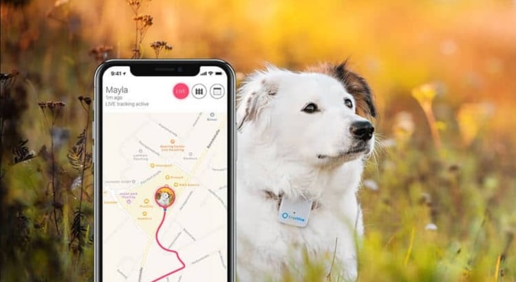 Tractive permite ver la ubicación del perro en tiempo real.