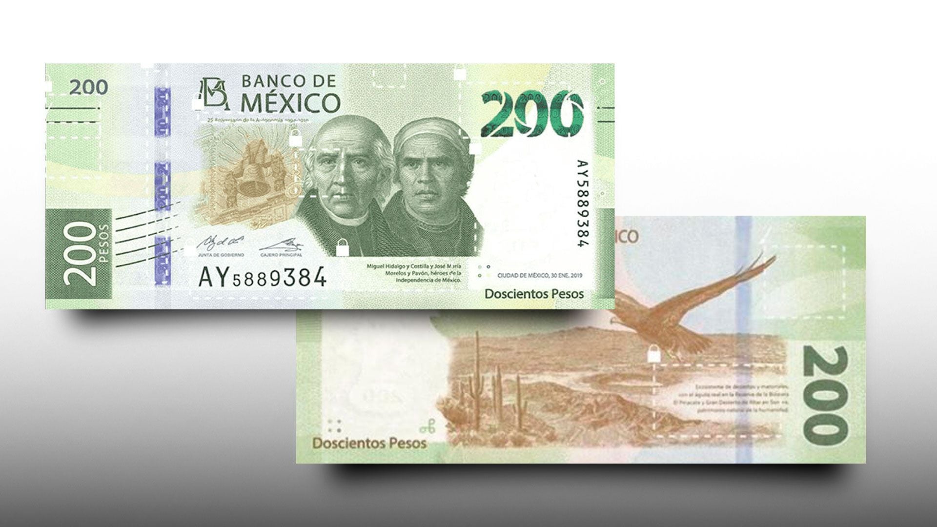 El papel moneda tiene la Reserva de la Biósfera El Pinacate y Gran Desierto de Altar, en Sonora, (Foto: Jovani Pérez)