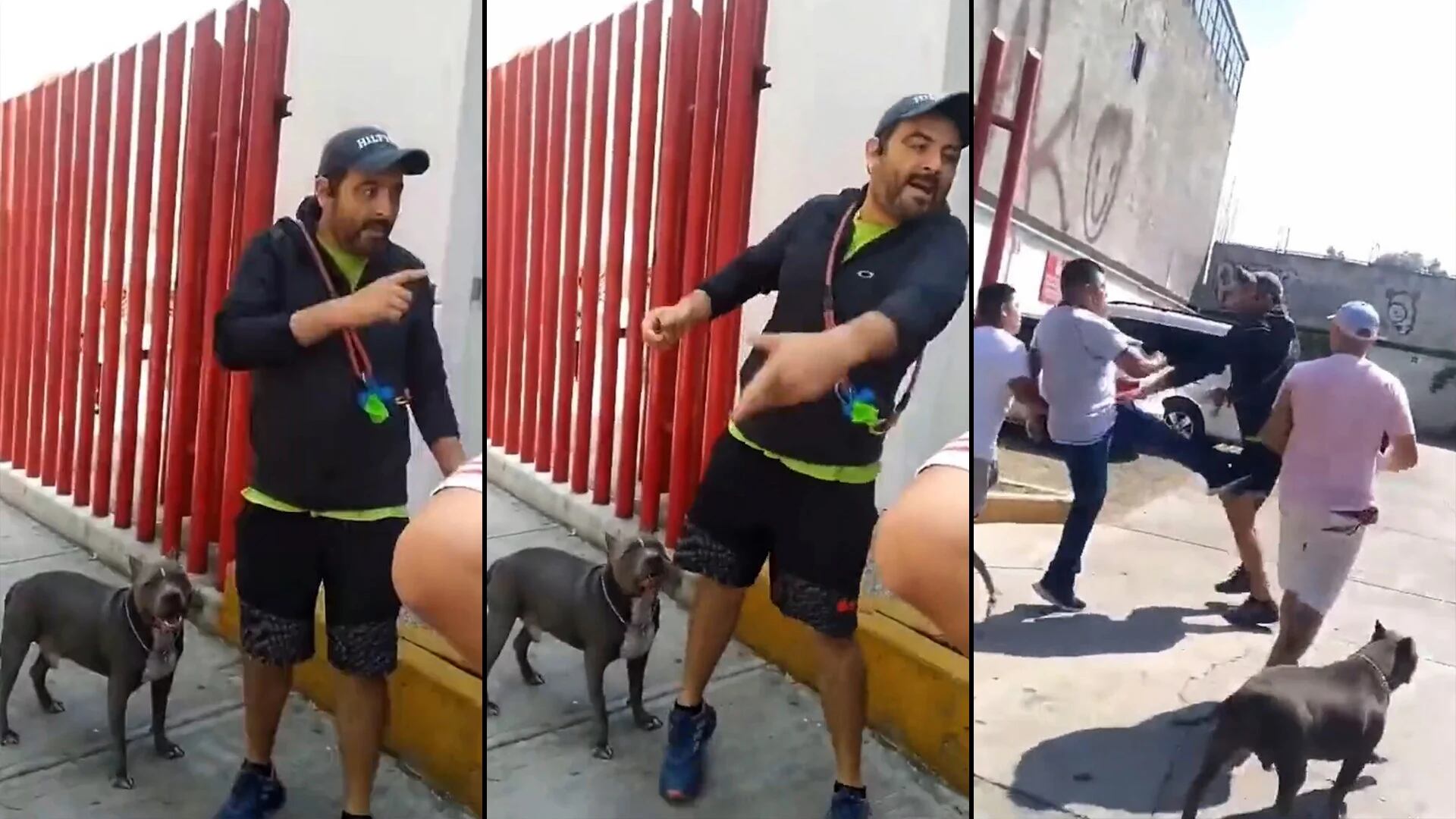 Hombre golpea a mujer que le reclamó por pasear a su perro sin correa; caso indigna | VIDEO