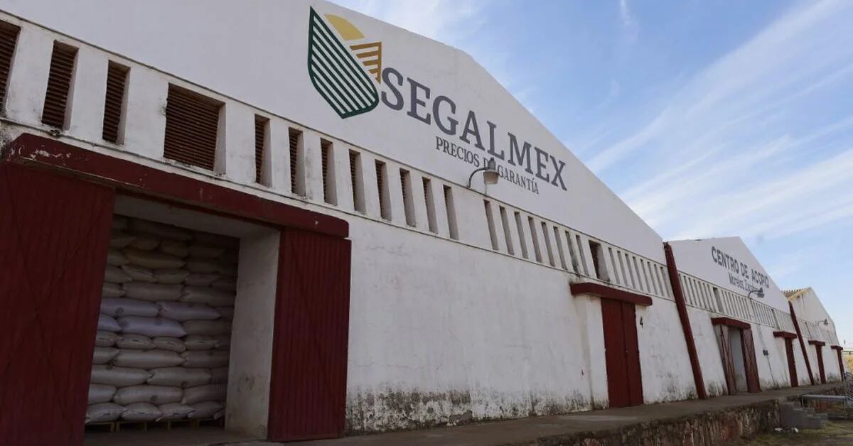 The FGR has obtained arrest warrants for 22 people in the Segalmex case