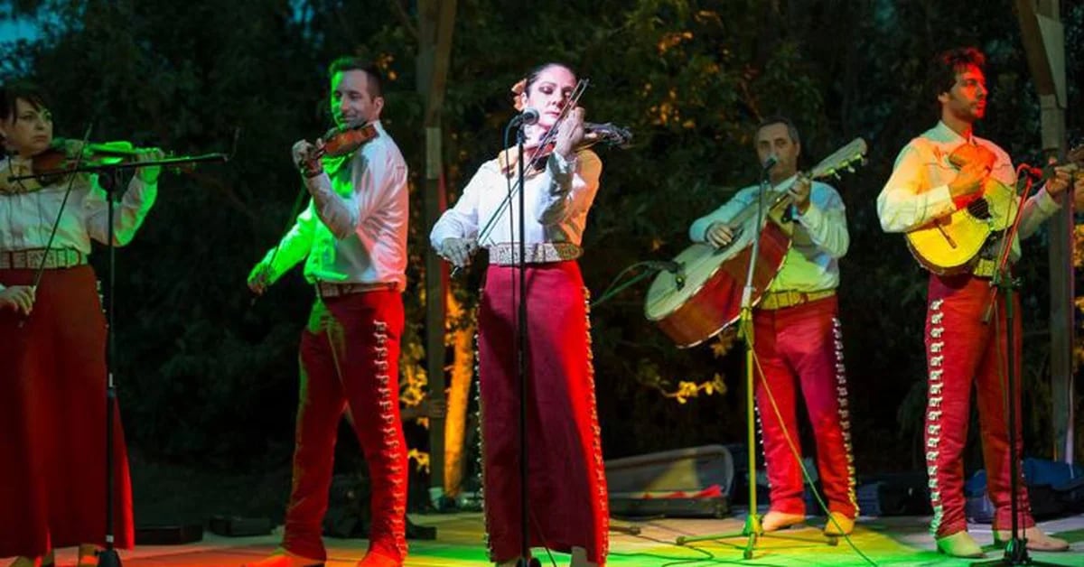 La storia del musicista italiano sedotto dai mariachi: “Con tutto il cuore”