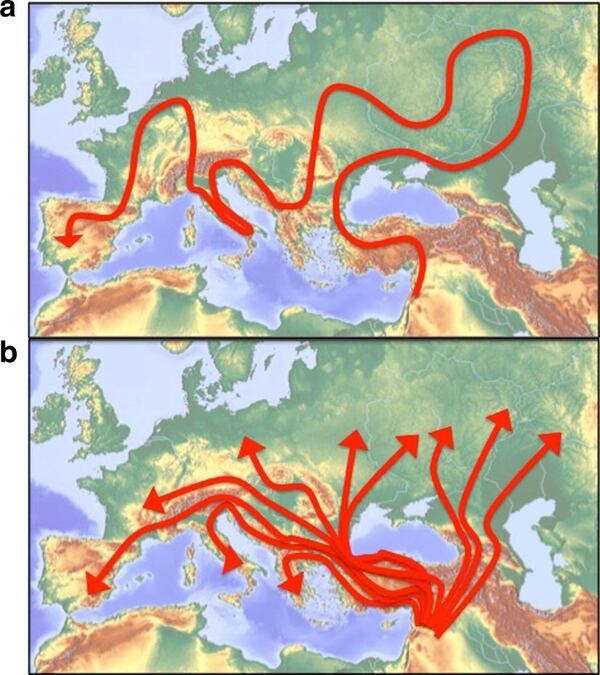 Los patrones de movilidad de los neandertales no pudieron con la llegada del homo sapiens.