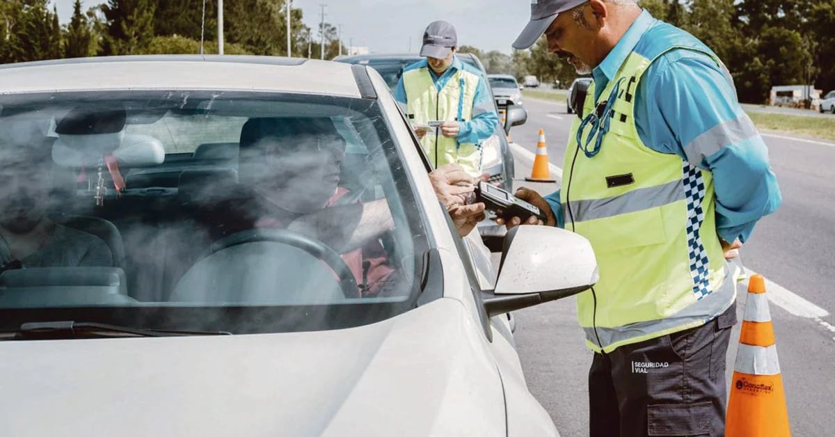 The effects of the Zero Alcohol Law: the number of drunk drivers has been halved on lines to the Coast