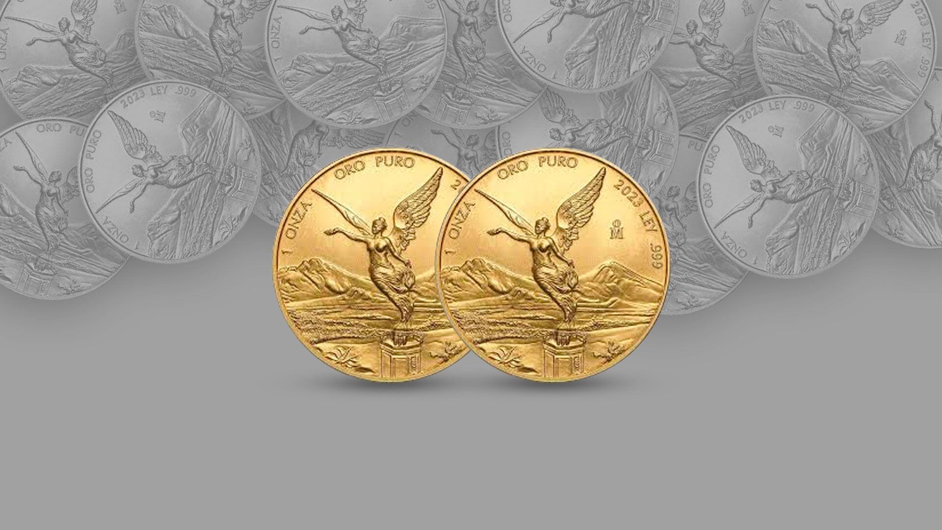 Bitcoin Oro 24k Moneda Bitcoin Bañada Oro 24K - Incluye Protector Acrílico,  Coleccionable Oro 24k Puro Lingote