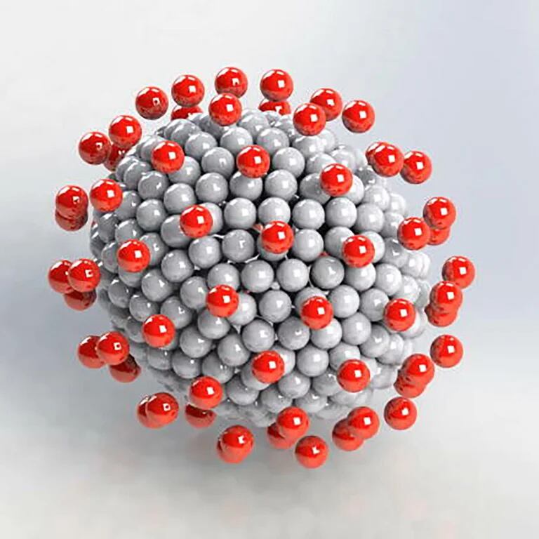 La forma del coronavirus suelen ser elíptica, y solo a veces esférica (gentileza: Universidad de Queen - Instituto de Ci 