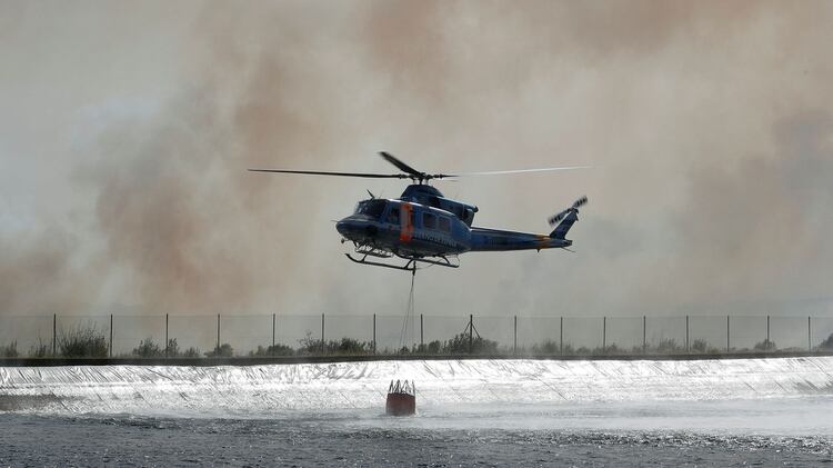 6.500 hectáreas resultaron quemadas (REUTERS/Albert Gea)