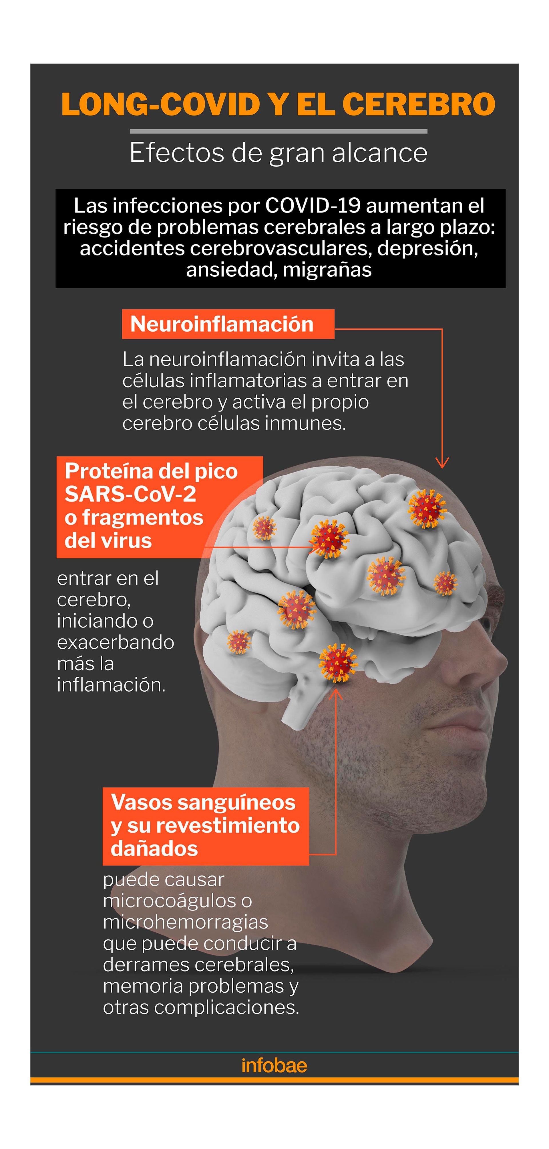 infografia