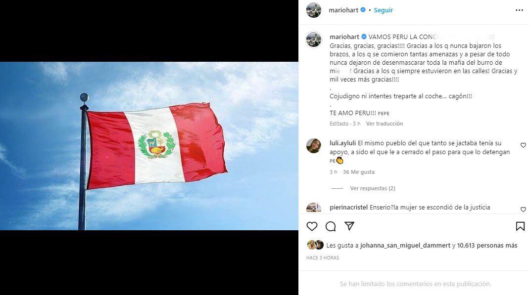 Mario Hart celebra la detención de Pedro Castillo. (Instagram)
