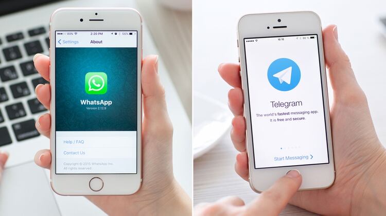 WhatsApp y Telegram están entre los servicios de mensajería más utilizados. (Shutterstock 163)