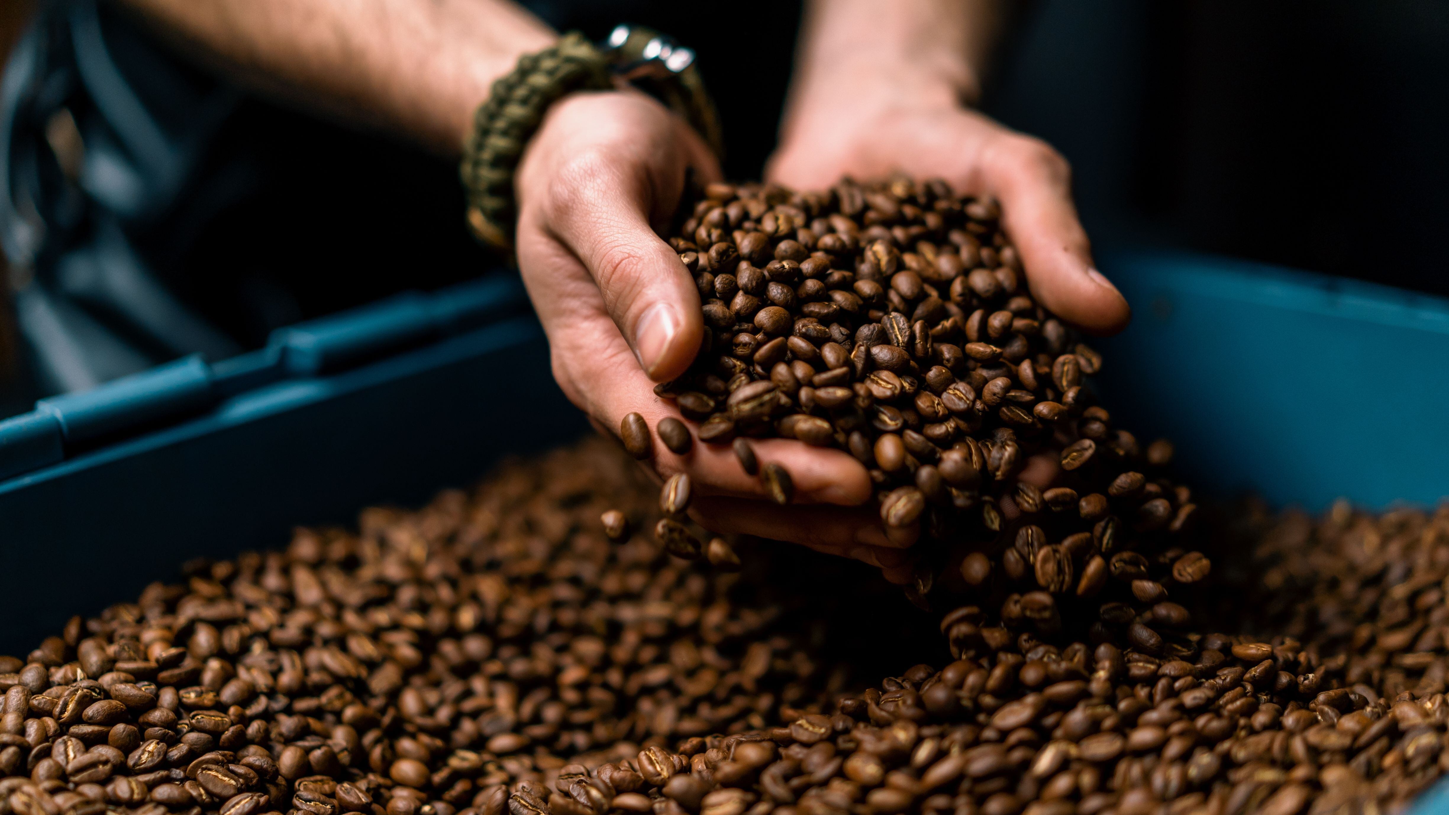 Granos de café (Shutterstock)