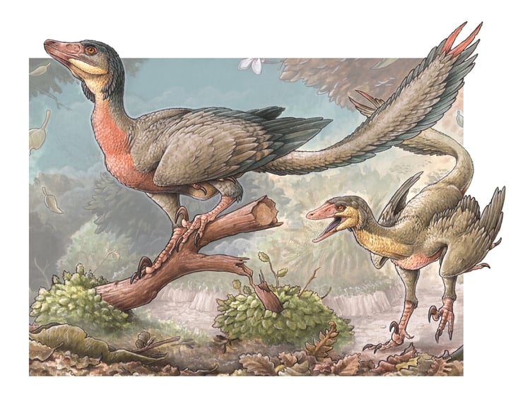 Reconstrucción artística del Overoraptor chimentoi (Gabriel Lio)