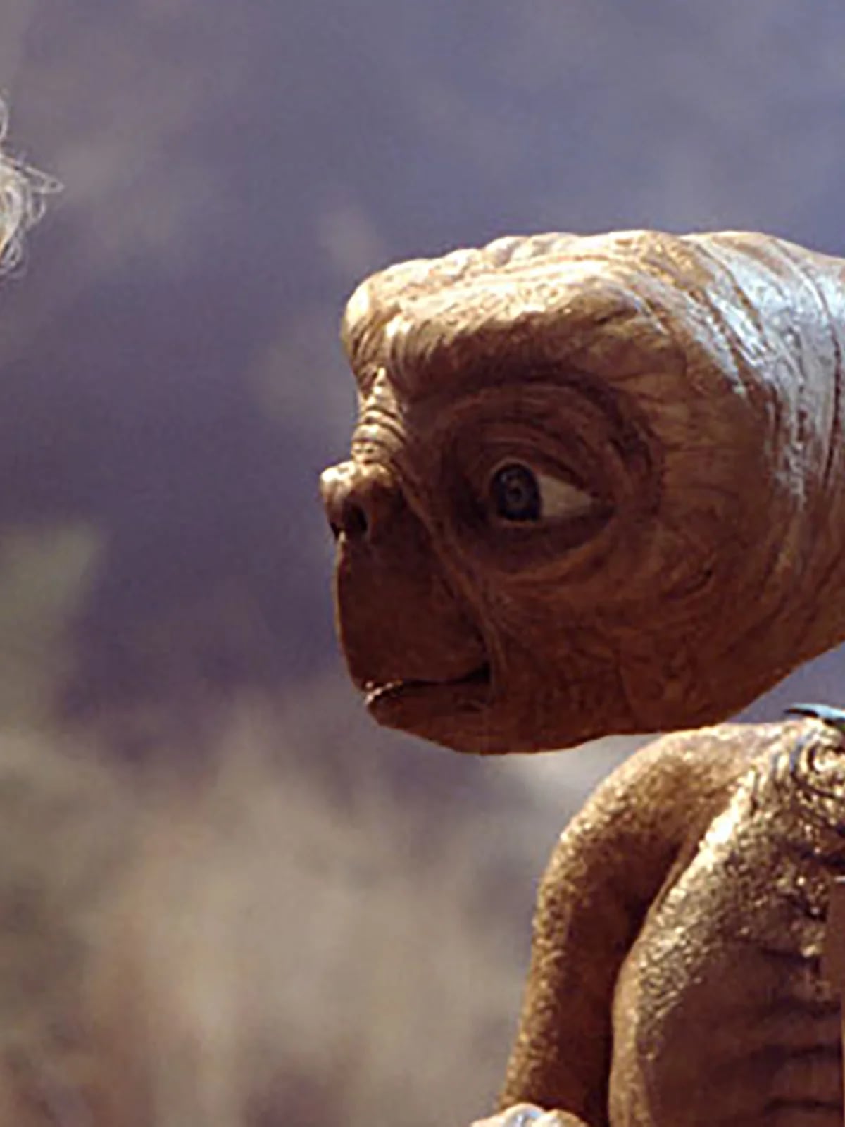 La verdadera historia que dio origen a la exitosa película E.T.