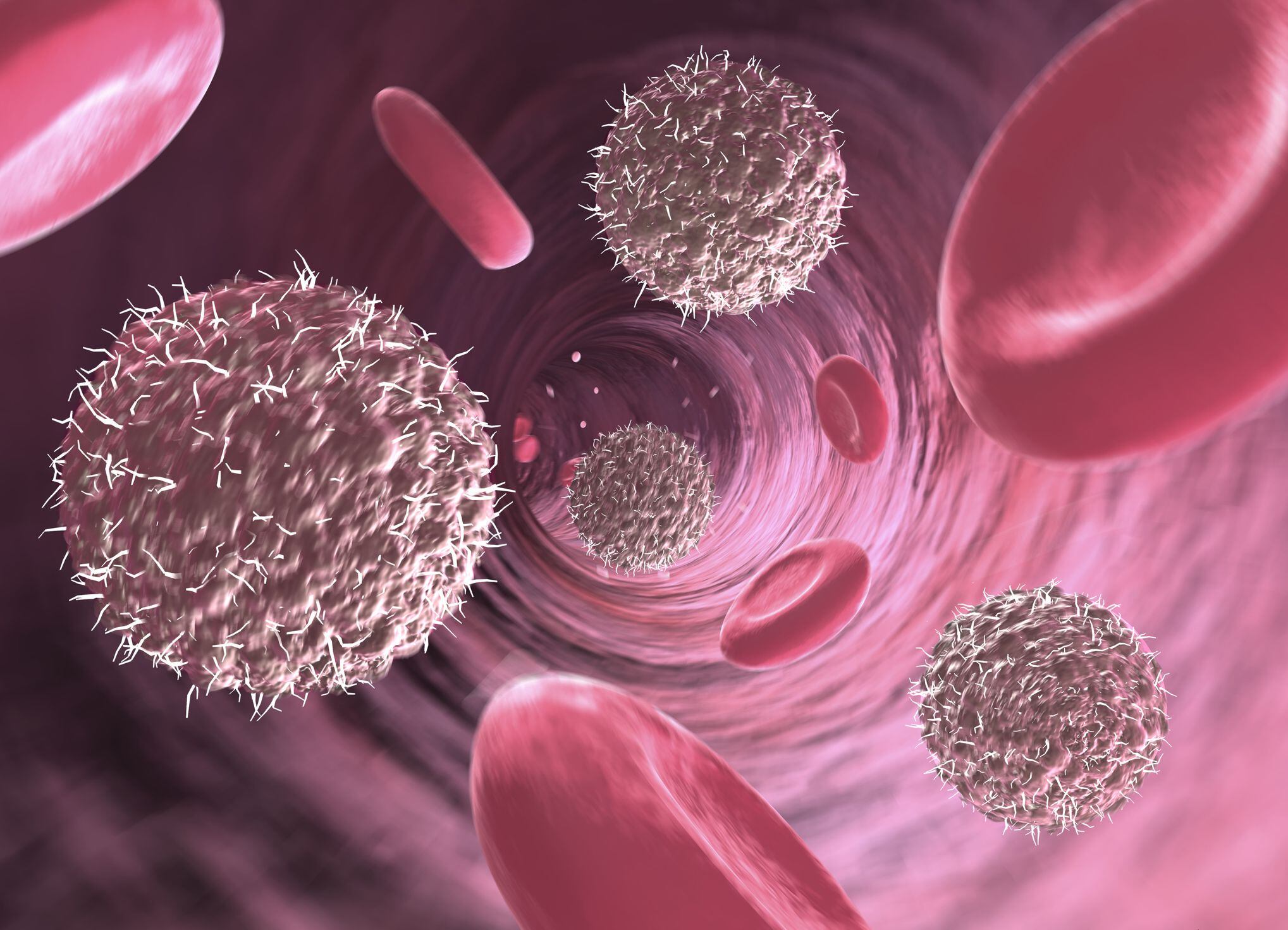 Linfocitos y glóbulos rojos en vaso sanguíneo, sistema inmunológico, enfermedades autoinmunes