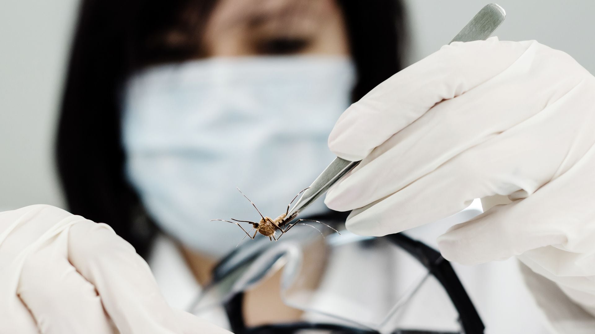 La Unión Europea autorizó el uso de la vacuna contra el dengue de la farmacéutica japonesa Takeda en diciembre de 2022
 (iStock)
