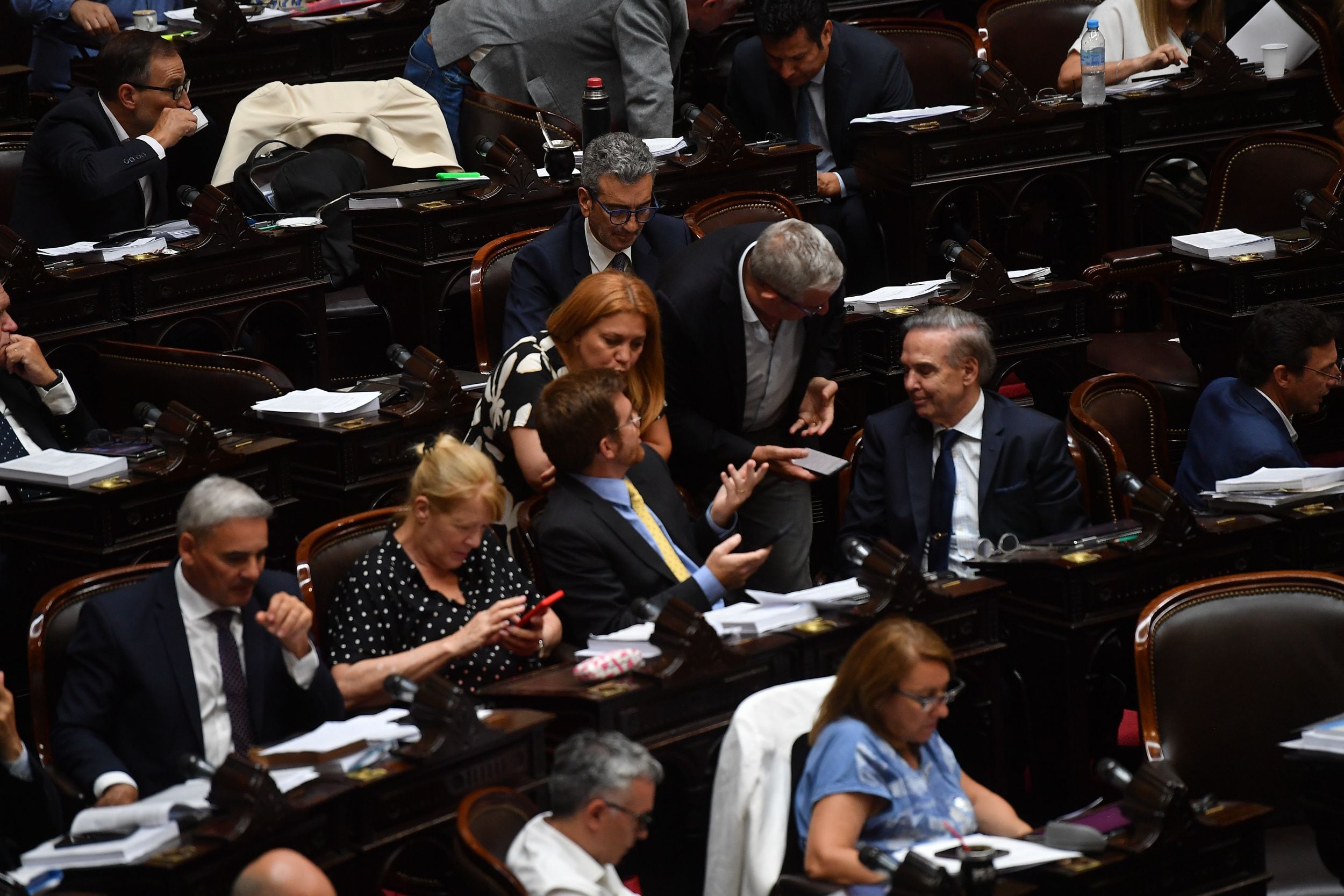 La Cámara de Diputados debate en particular la Ley Ómnibus